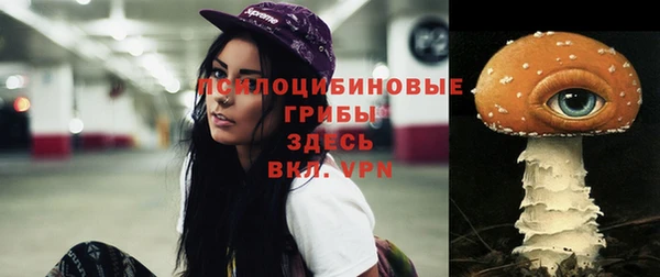 ECSTASY Алексеевка
