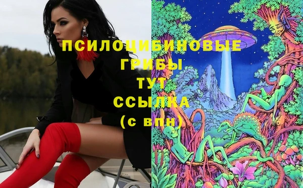 марихуана Абаза