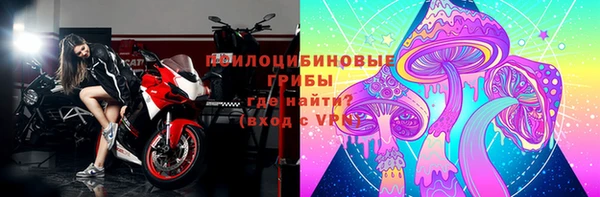 гидропоника Алзамай