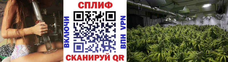 Канабис планчик что такое наркотик Иваново